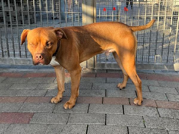 NILO CERCA CASA Foto 5